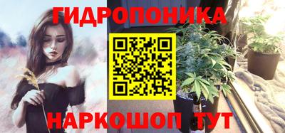 дмт Гусев