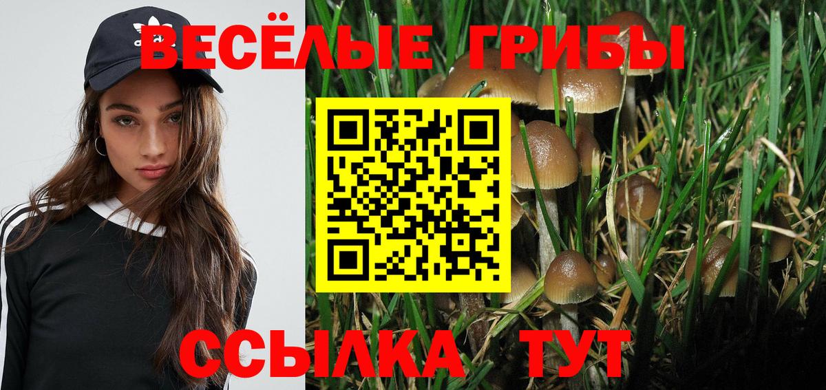 Псилоцибиновые грибы Psilocybe  наркотики  Новоалтайск  Вход с VPN 
